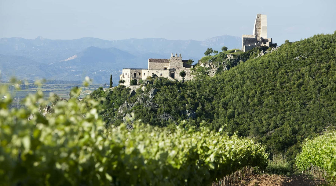 enoturisme penedès finca batllori castell subirats