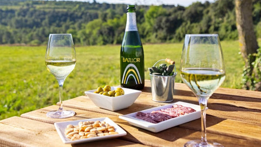 Winebar Batllori, una terrassa amb vistes a les vinyes al Penedès