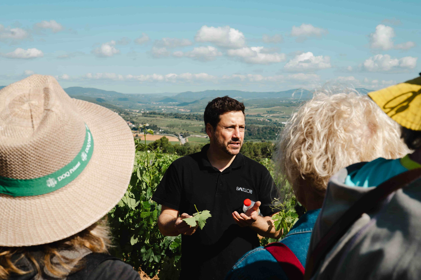 Brunch among vineyards and fossils