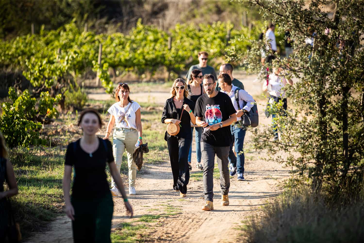 visita guiada vinya penedès finca batllori