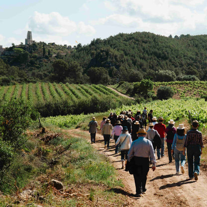 Brunch among vineyards and fossils