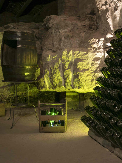 visita privada batllori celler penedès