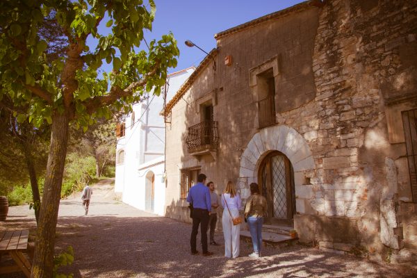 Batllori&CreuRoja - 12 d'Octubre Visita Solidària - Imatge 2